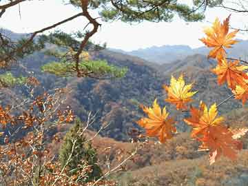 清华毕业生35岁再考清华